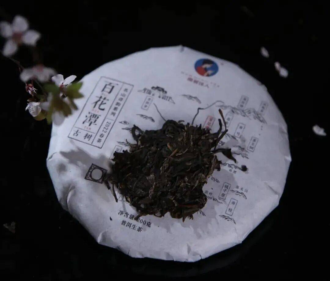 南茗佳人|新茶和老茶该怎么选?