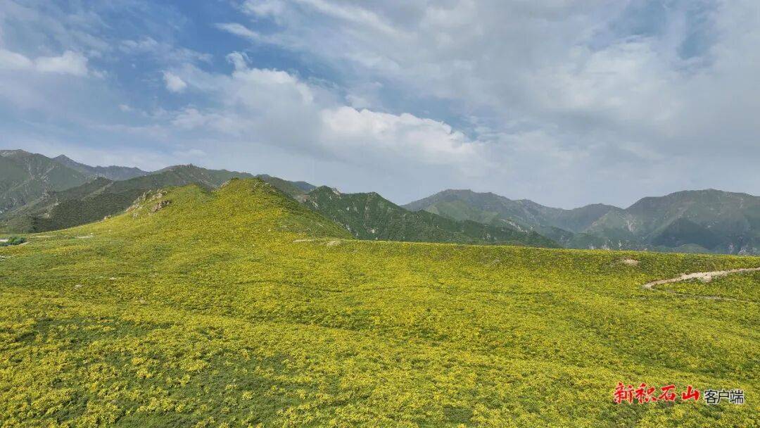 【文化旅游】山间花海、飞瀑流泉、民族歌舞——积石山旅游大通道开启避暑旺季
