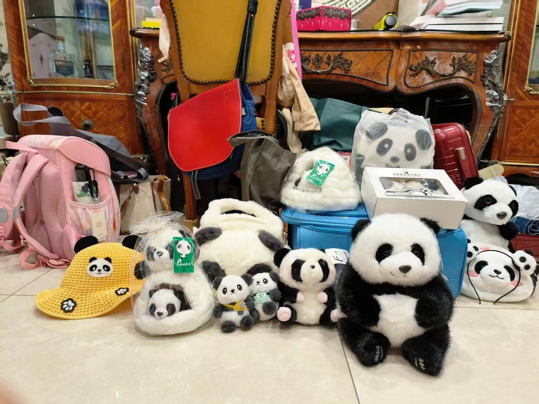 到大陆旅游很危险？看熊猫、吃火锅 一对台湾母女在四川打破“信息茧房”