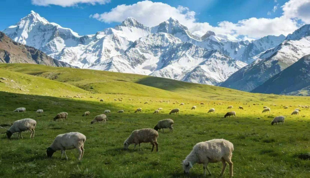 经过对新疆百余家旅行社暗访,本地人公认的零投诉靠谱名单终于出炉