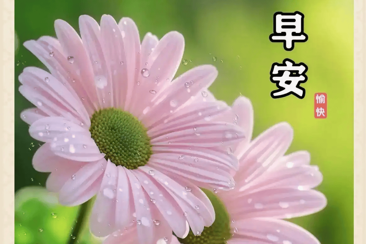 晨光启序，温柔赴朝