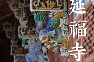 杭州商务接待旅行社哪家好？合同透明度是关键