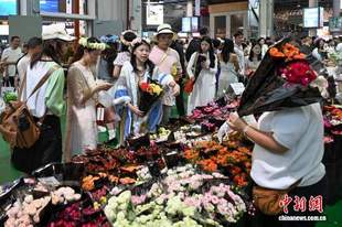 云南斗南花市暑期人气旺：市场内热闹非凡