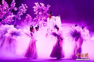 评剧《花妖》在沈阳惊艳亮相