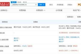 科大讯飞入股恒特电子