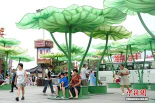 河南开封：巨型仿生荷景扮靓夏日园区