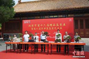 园林艺术融入多元场景 北京市第十六届精品盆景展在景山公园开幕