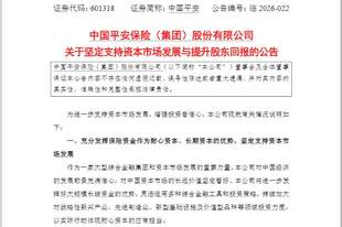 A股迎来“增持回购潮”!600406:最高10亿元