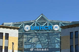 外媒称美国考虑与联合国难民署切断关系