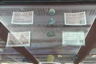 青藏铁路通车20年：有人离家外出求学，有人进藏打拼谋生