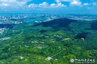 南京钟山风景区邀请全国2026年高校新生来打卡!