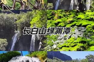 林海天池纳清凉|长白山暑假出行全攻略,避暑深度游玩指南+FAQ