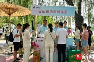 图|“邮”寄夏语“荷”韵传芳!荷园主题邮局浪漫上线
