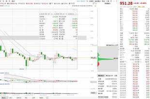48小时神话破灭!两只千元新股集体崩跌 宇树科技回撤近40% AI硬科技估值泡沫加速出清