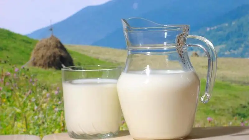 胃不好的人请注意：牛奶之外，这四种食物也需谨慎摄入，早知早安心