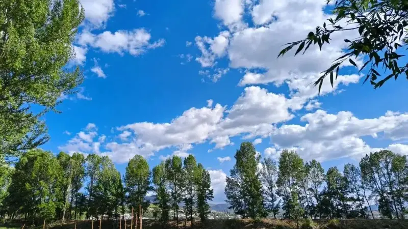 一杯咖啡虚度一个午后 时间像一块旧布 缓慢地磨损着