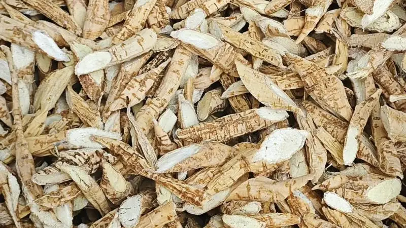 探秘古法 从山野到酒坛：牛大力泡酒制作方法的完整流程拆解!
