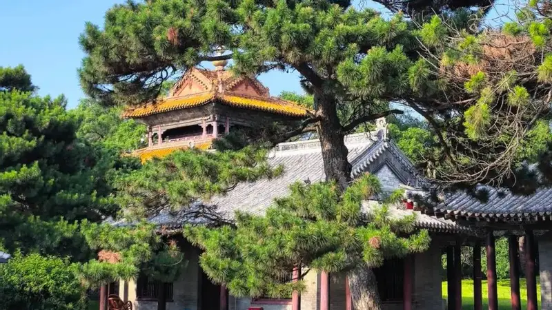 暑期旅游攻略：沈阳避暑游3天2晚清凉出行全指南
