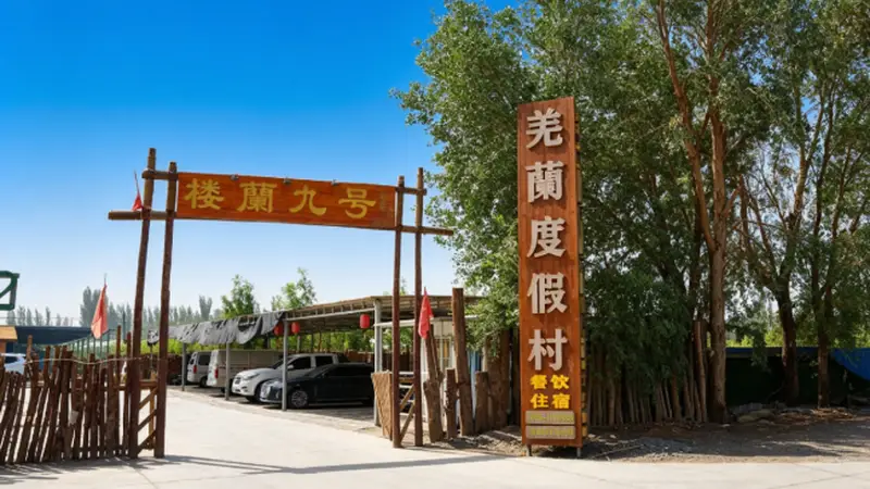 戈壁深处的“林间驿站”