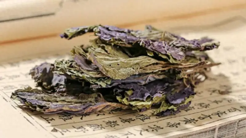 药食推荐丨能夏日防暑、解鱼蟹毒的“好手”,有近两千年药食历史