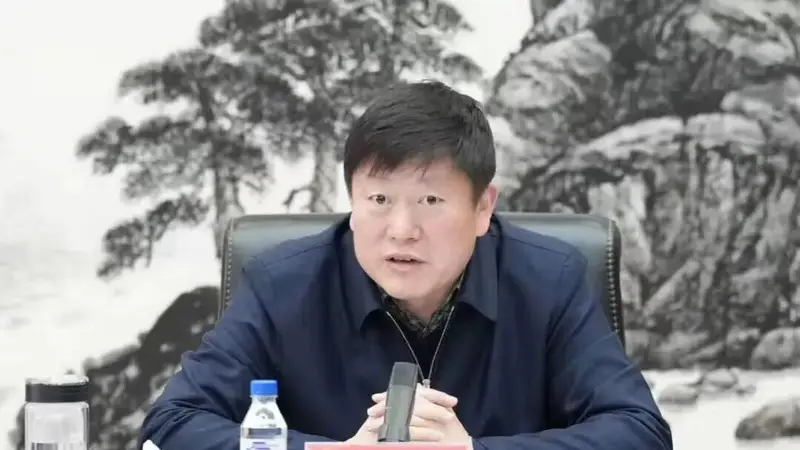 打虎！贺志亮被查