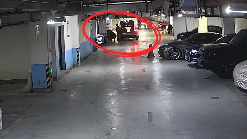百万豪车停地库，竟被“蚂蚁搬家式”拆光卖了！3人被抓