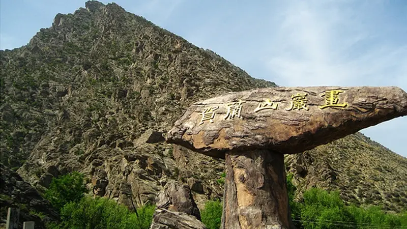探秘太阳神岩画、偶遇贺兰山岩羊——在苍茫群山间感受万年文明回响