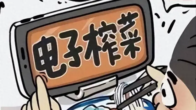千年下饭史:从咸菜腐乳到电子榨菜,一碗米饭的滋味变迁