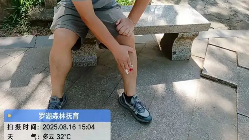 深圳梧桐山野猪种群数量呈增长态势 景区紧急提醒……