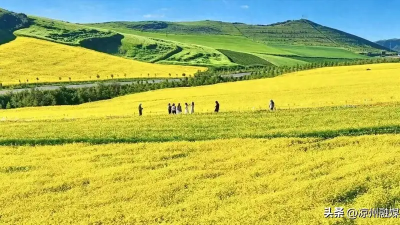 盘活清凉资源 点燃夏日经济!武威文旅市场热度持续攀升