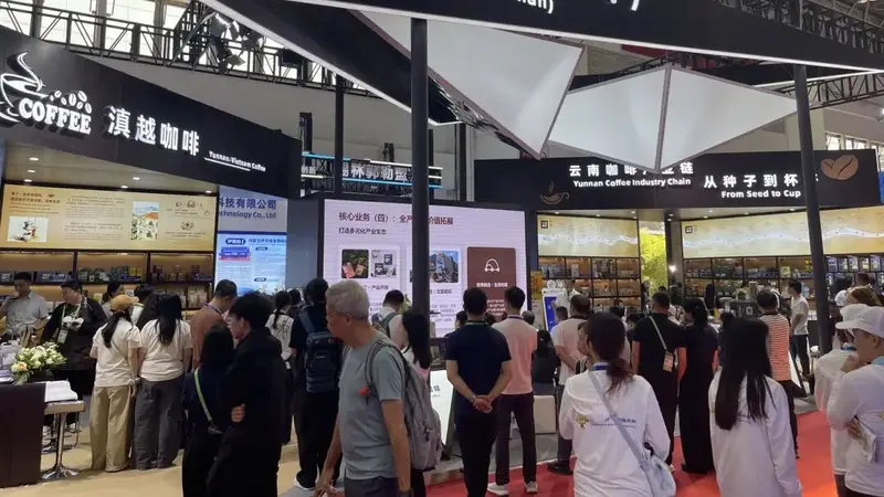 云南咖啡的“链”上之旅——云南咖啡企业组团参加第四届链博会侧记