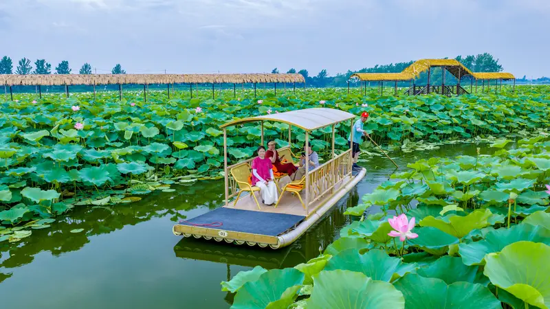 小暑荷韵