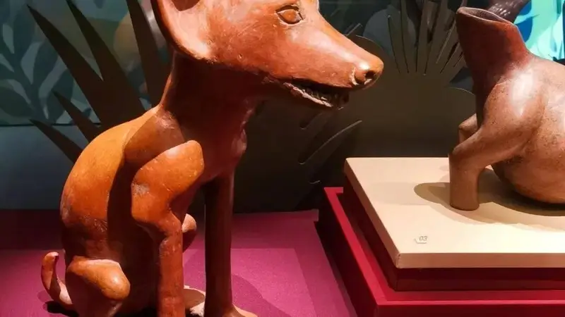 申一涵分享：《玉米·黄金·美洲豹——玛雅与安第斯古代文明大展》18