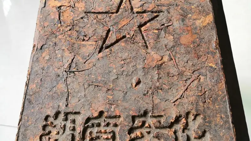 喻晴朗:我对老茶的理解