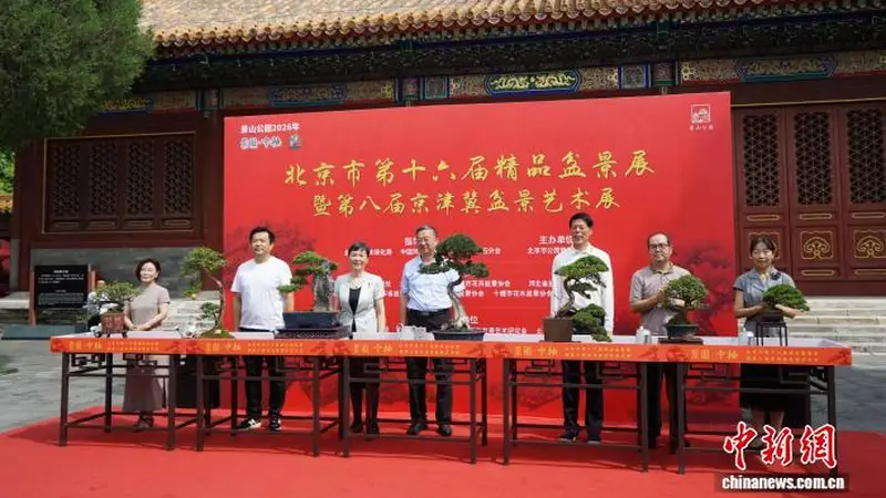 园林艺术融入多元场景 北京市第十六届精品盆景展在景山公园开幕