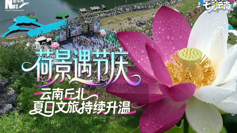 世界花园 七彩云南|荷景遇节庆 云南丘北夏日文旅持续升温