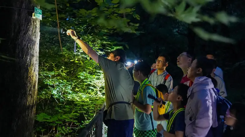 香山奇妙夜,寻访“山林夜客”!北京夏夜好去处