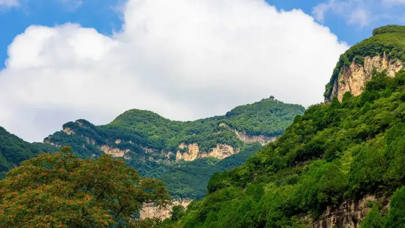 为什么说云丘山的夏天,空调就是个“摆设”?