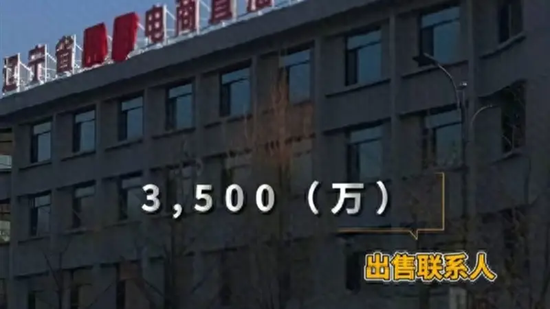 被封两年后!东北雨姐3500万卖电商大楼 此前花1800万贷款购入