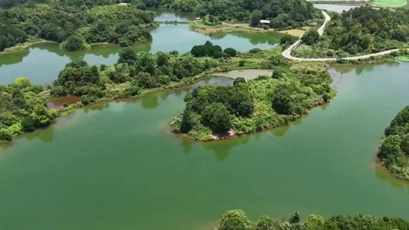 大批老人涌入增城，打着旅游名义，不逛白水寨不小楼古村，为啥