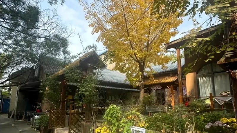 从一座难求到大规模倒闭:曾风靡全国的农家乐,为什么没人去了?