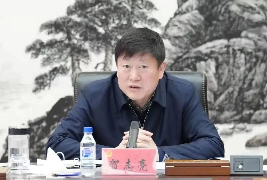 打虎!贺志亮被查
