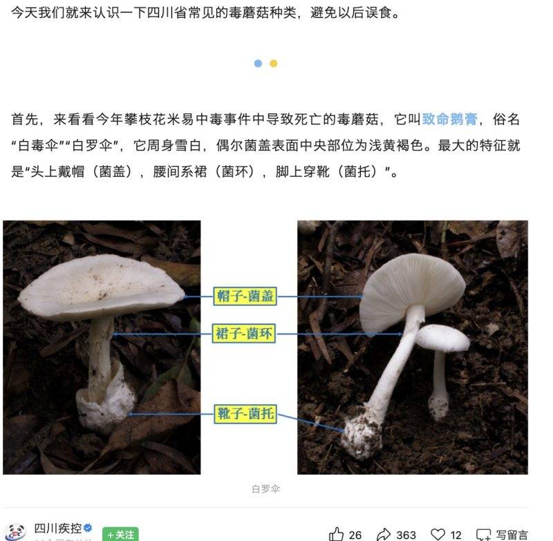 郑州一火锅店菜单现剧毒“白杆杆”?店家称正规渠道采购,当地市监未接到相关投诉