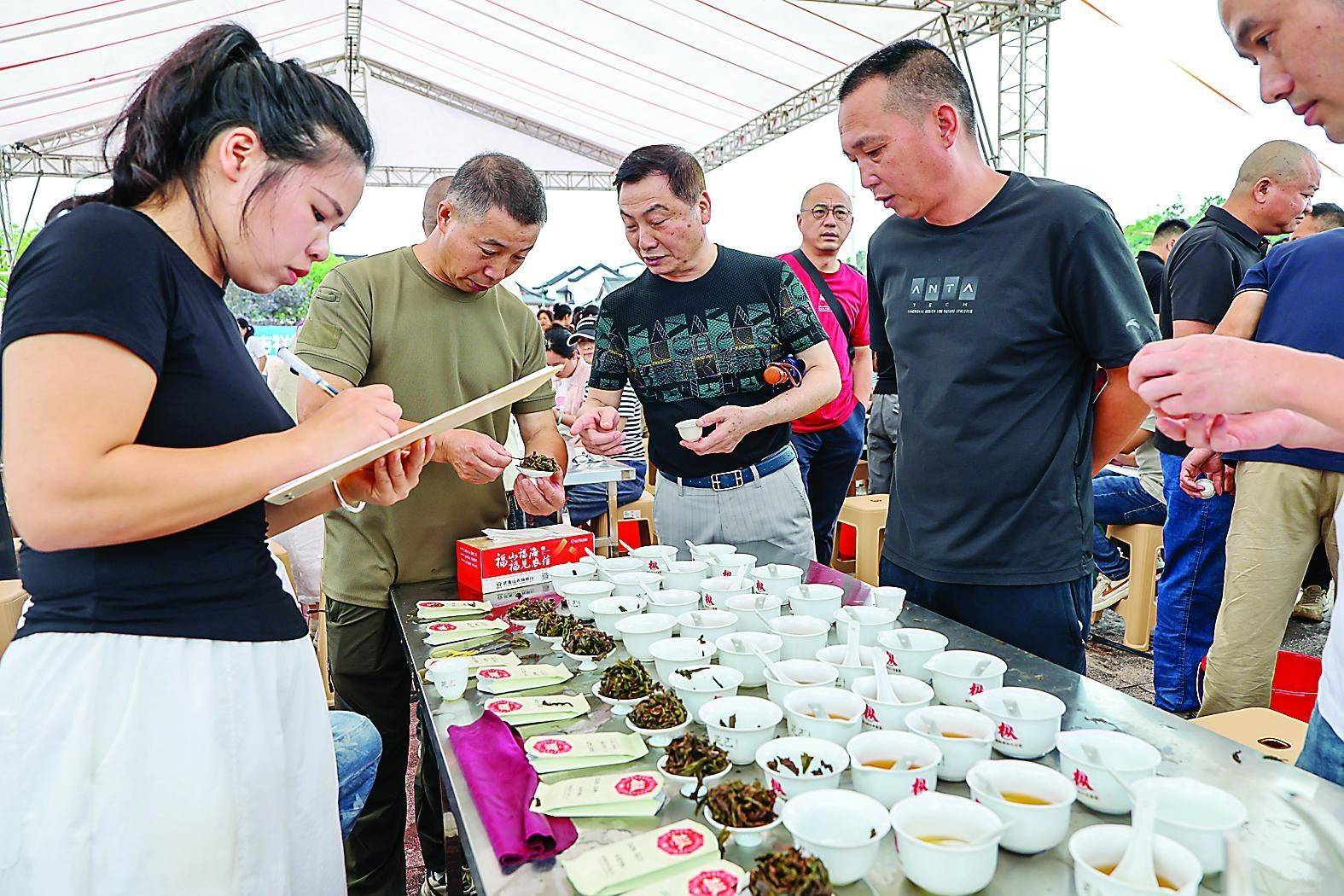 武夷山:卸掉“炭火妆” 好茶“素颜”见人