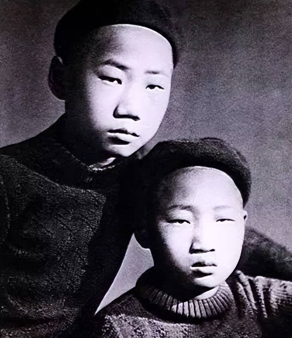 贺子珍得知岸英牺牲,为何痛哭质问:"他也是我的儿子?"