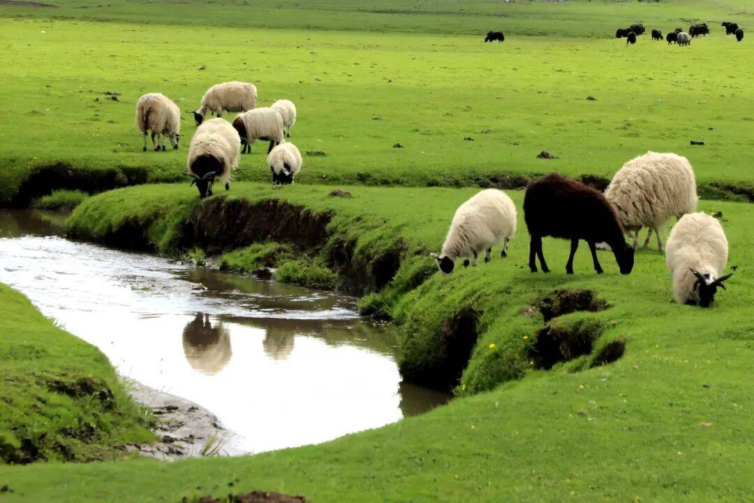 来定西，一天一景，根本不存在视觉疲劳~