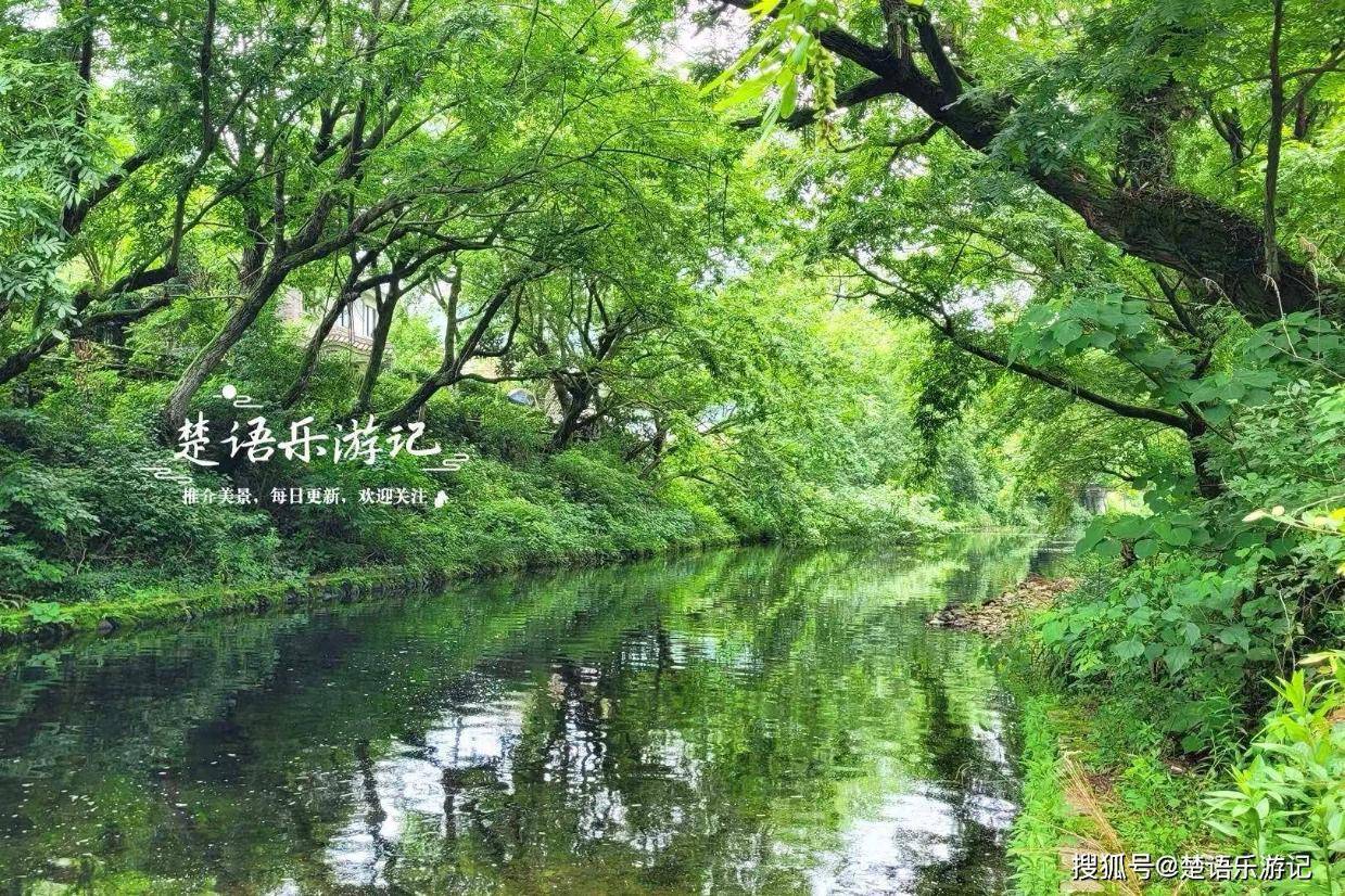 浙江宁波这片翠谷的风景太治愈了,清溪瀑布美如诗画,是玩水胜地