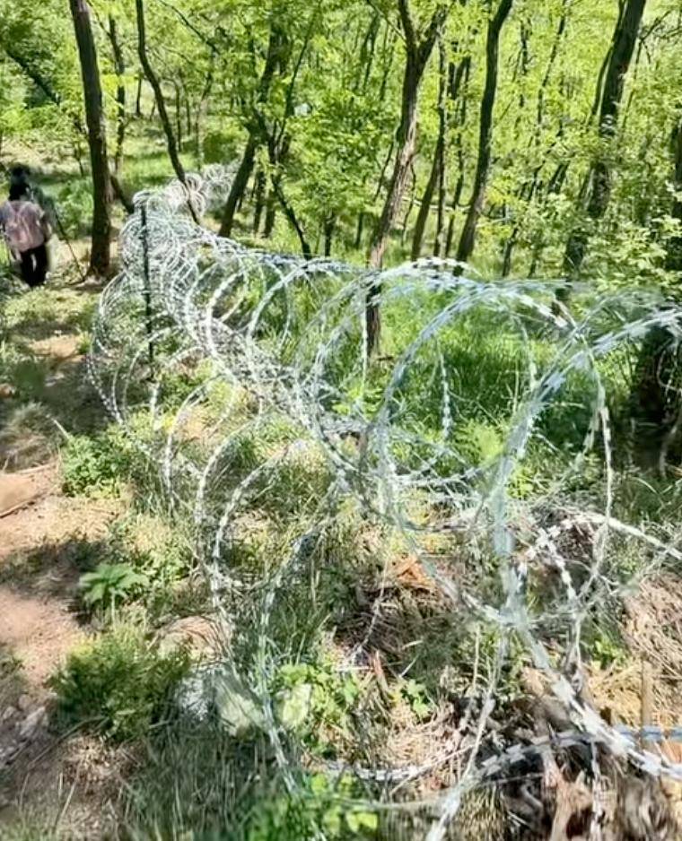 泰山花2519万修刺网防逃票惹争议,15年才能回本,网友炸锅:防的是逃票,伤的是良心
