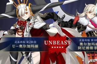 《FGO》十周年从者U奥尔加玛丽配队思路:哪些从者能和所长打配合
