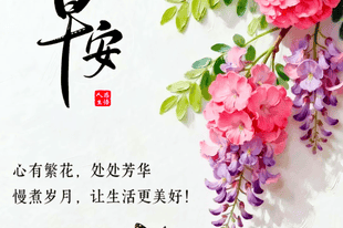 这段话写得太好了